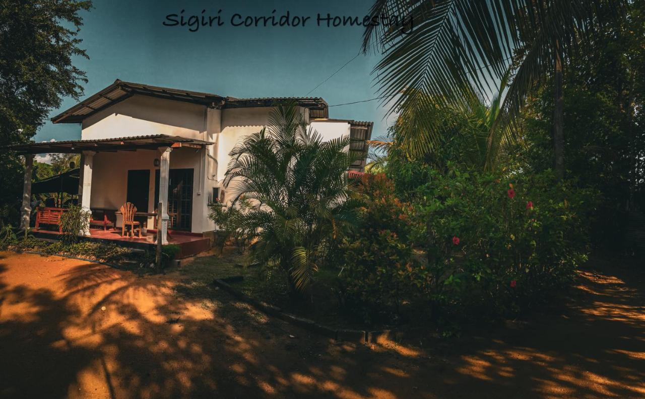Sigiri Corridor Home Stay Sigiriya Exterior foto